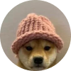 dogwifhat